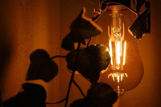 The Architecture of Light