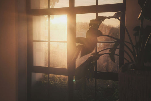 Warm evening sunlight through a window with soft shadows and indoor plants creating a calm atmospheric living space at dusk