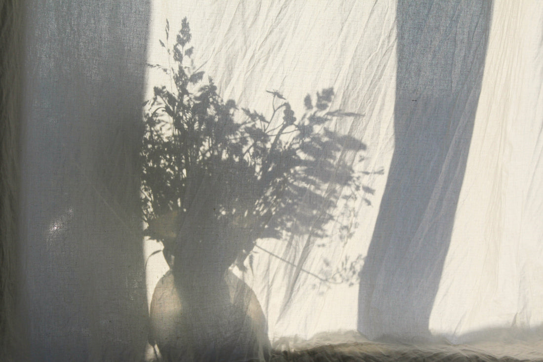 Soft natural light casting shadows through sheer curtains creating a calm home atmosphere