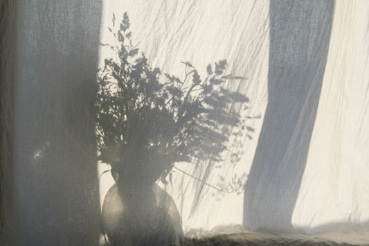 Soft natural light casting shadows through sheer curtains creating a calm home atmosphere